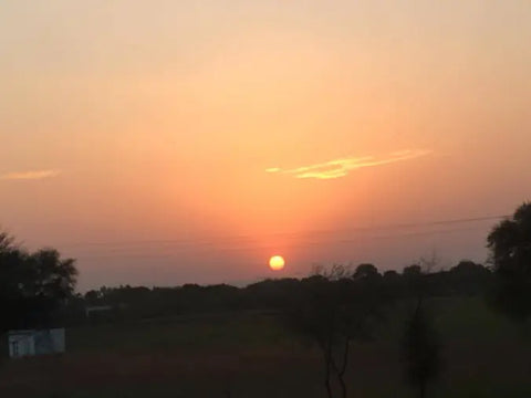 Duften av India – Masalamagic på tur i nord-India