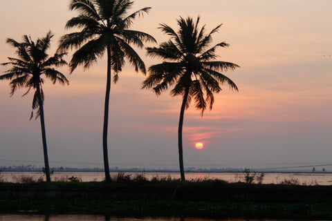 2 popular & simple dishes from South India